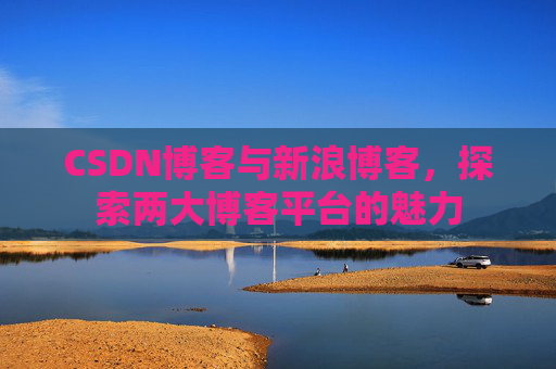 CSDN博客与新浪博客，探索两大博客平台的魅力